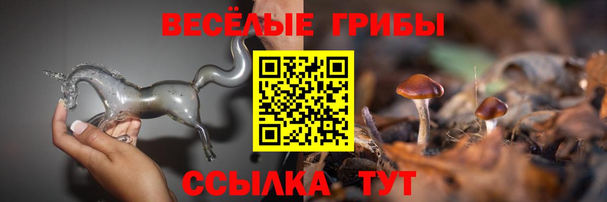 Псилоцибиновые грибы ЛСД  Вход с VPN  Новосибирск  Псилоцибиновые грибы ЛСД 